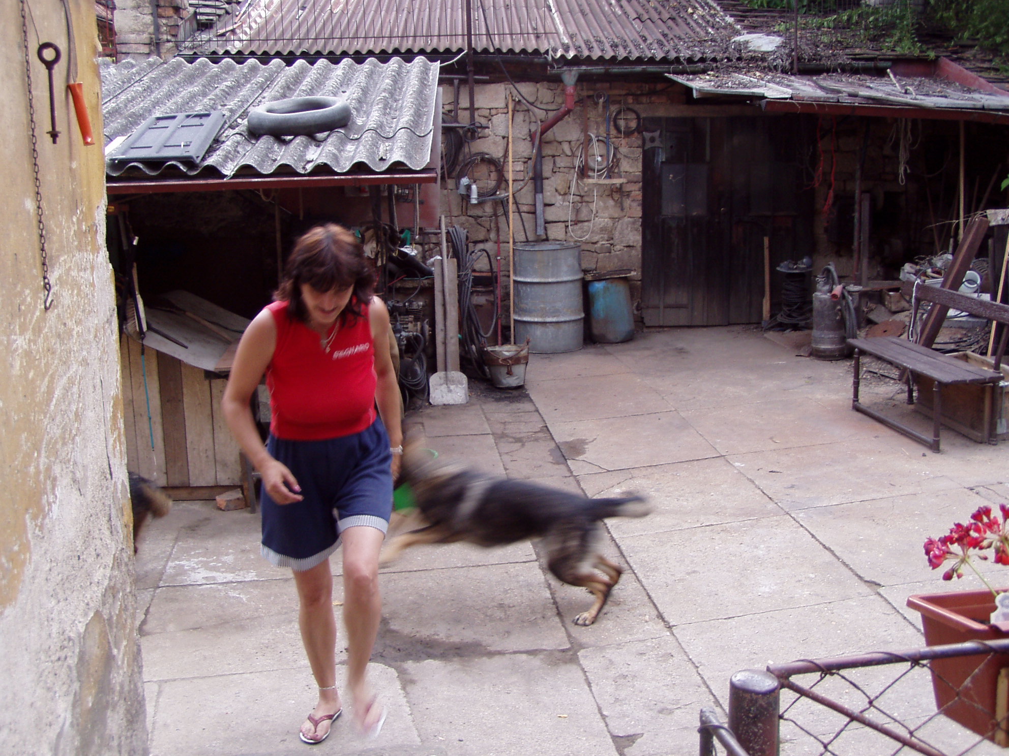 P7030005.JPG