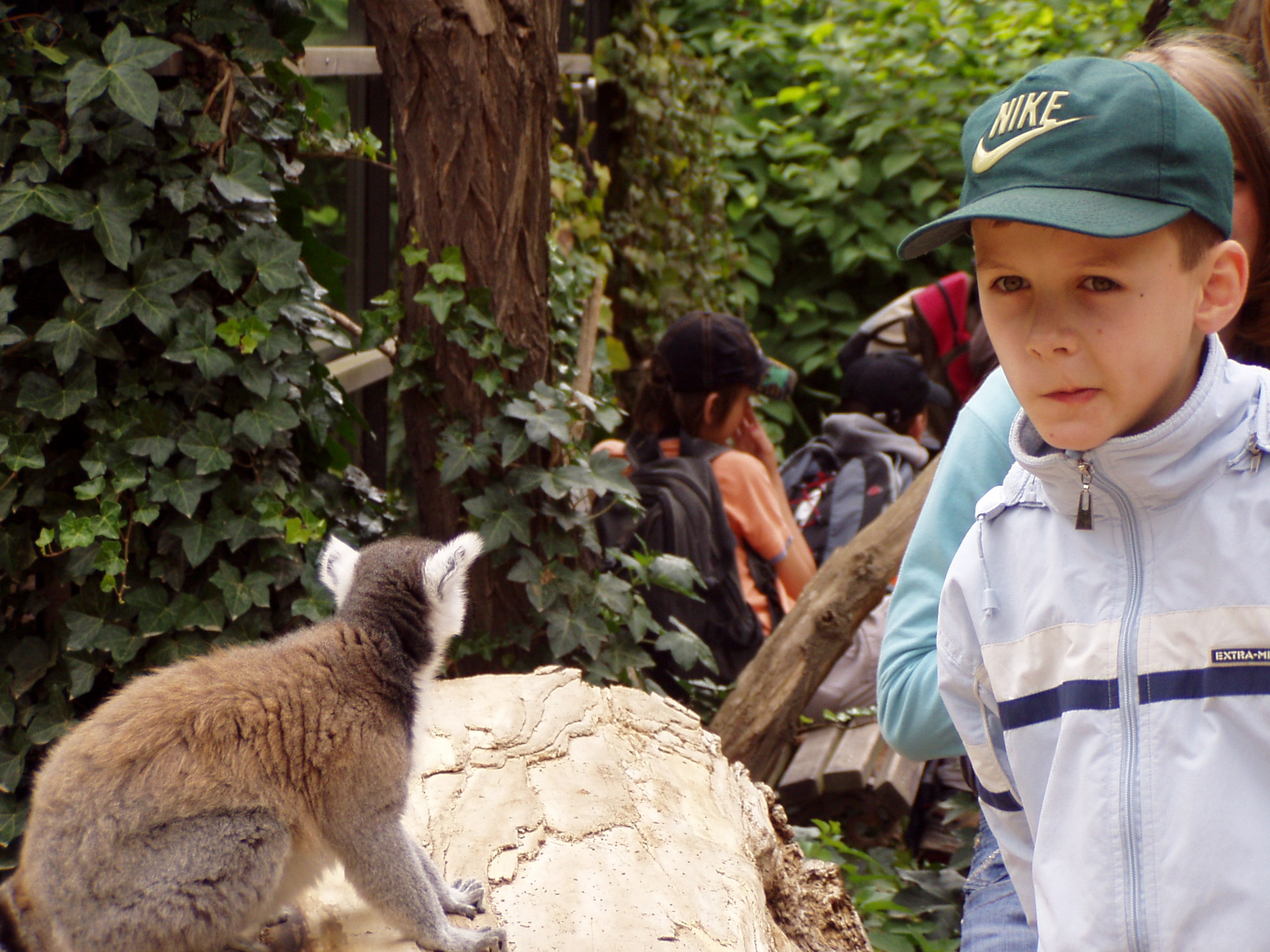 ZOO 001.jpg
