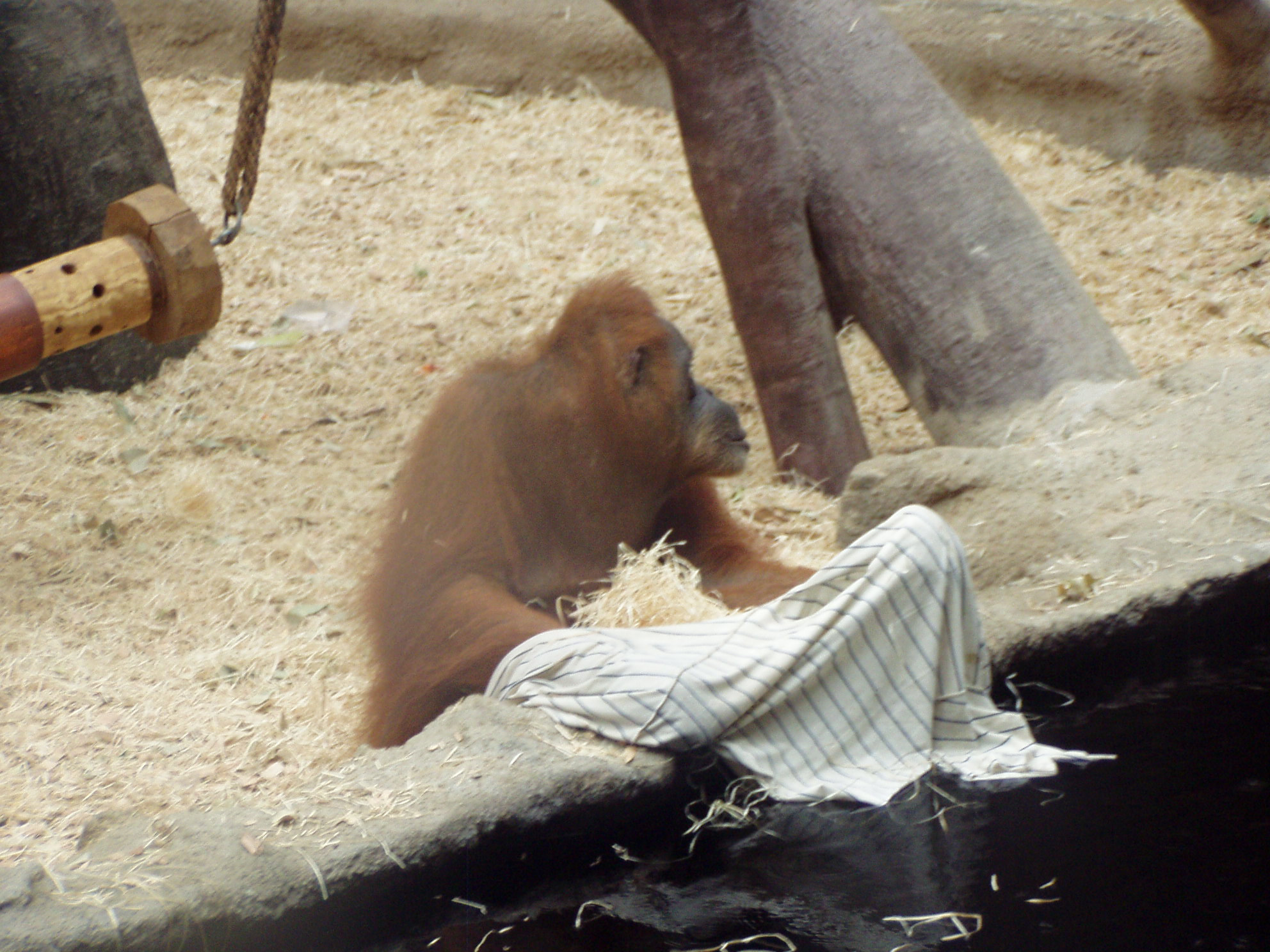 ZOO 010.jpg