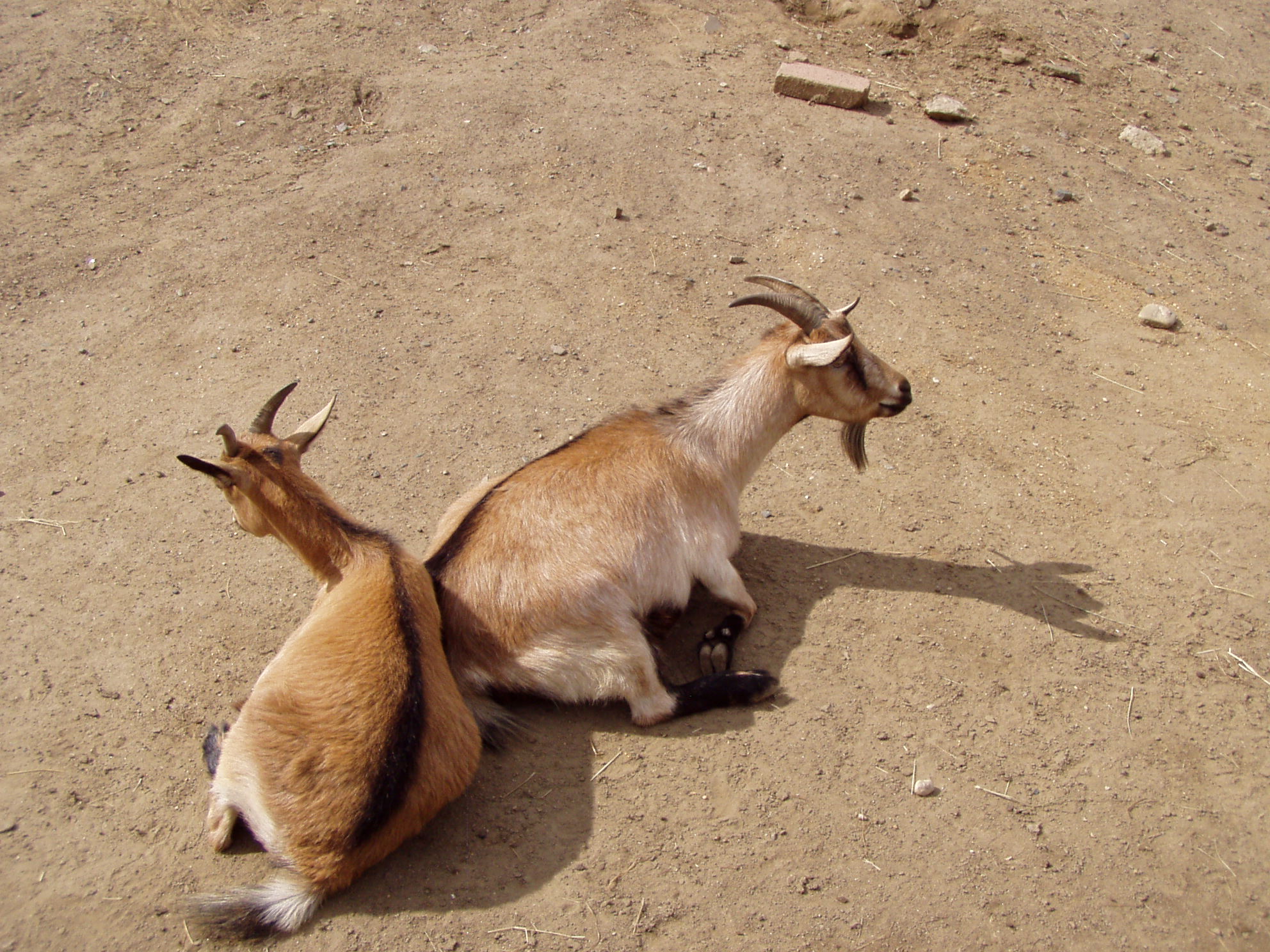ZOO 025.jpg