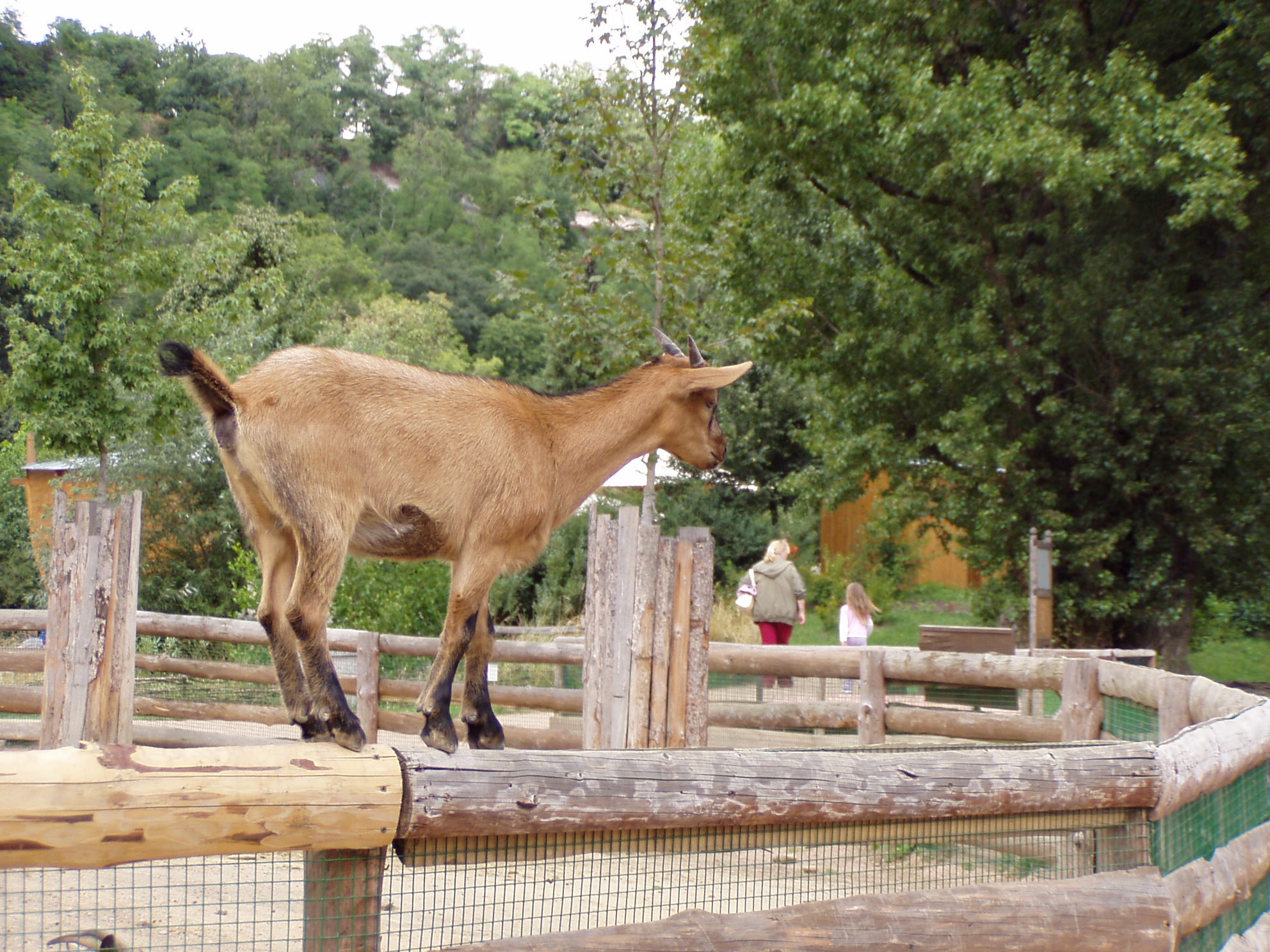 ZOO 027.jpg