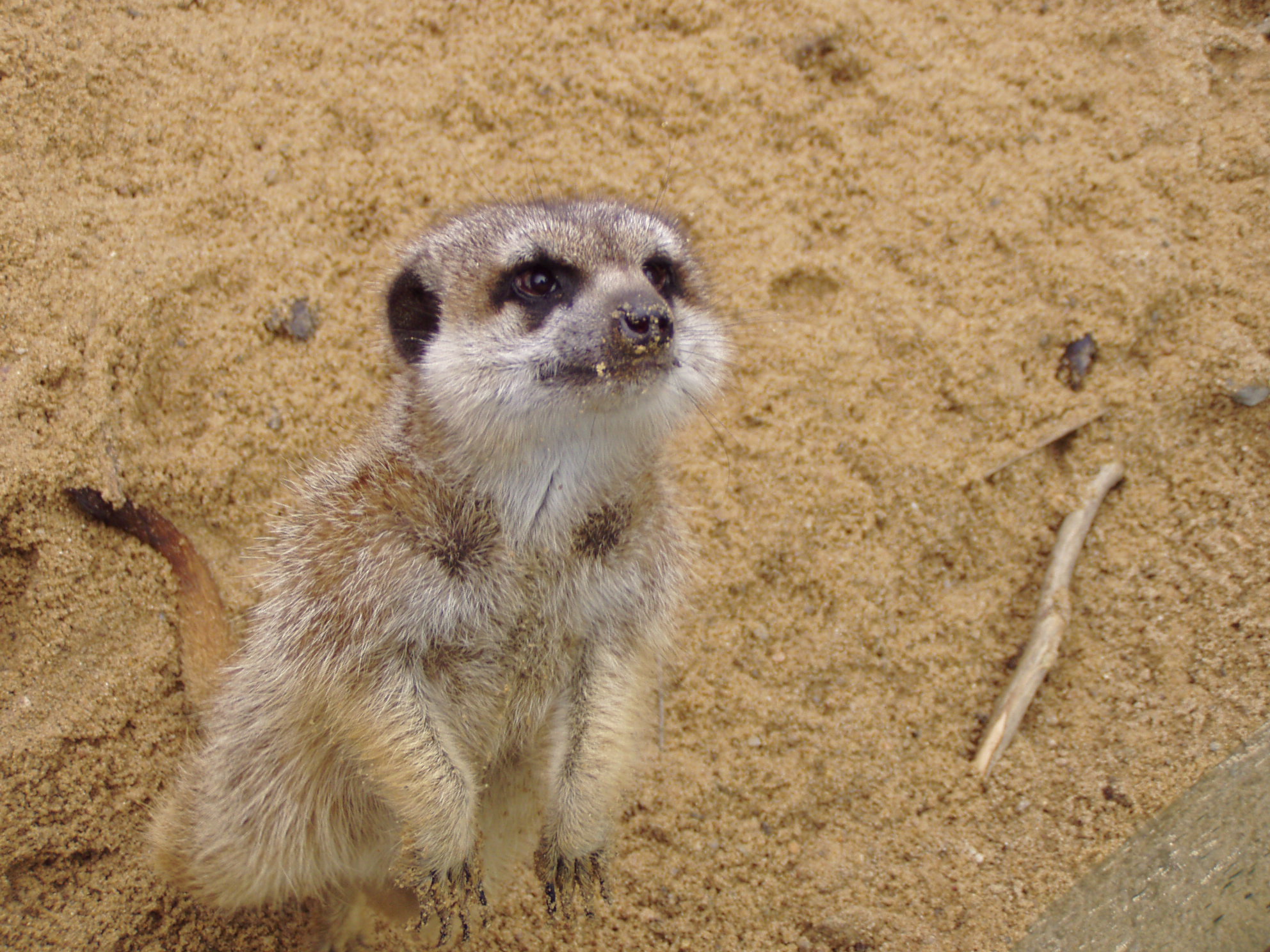 ZOO 068.jpg