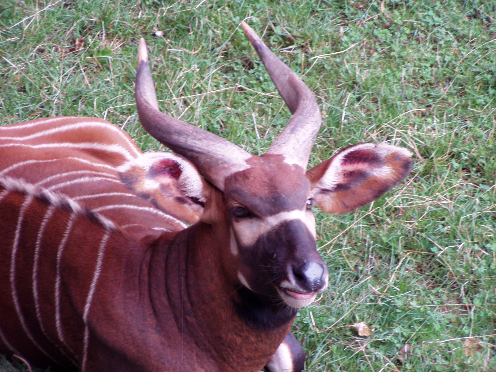 ZOO 081.jpg