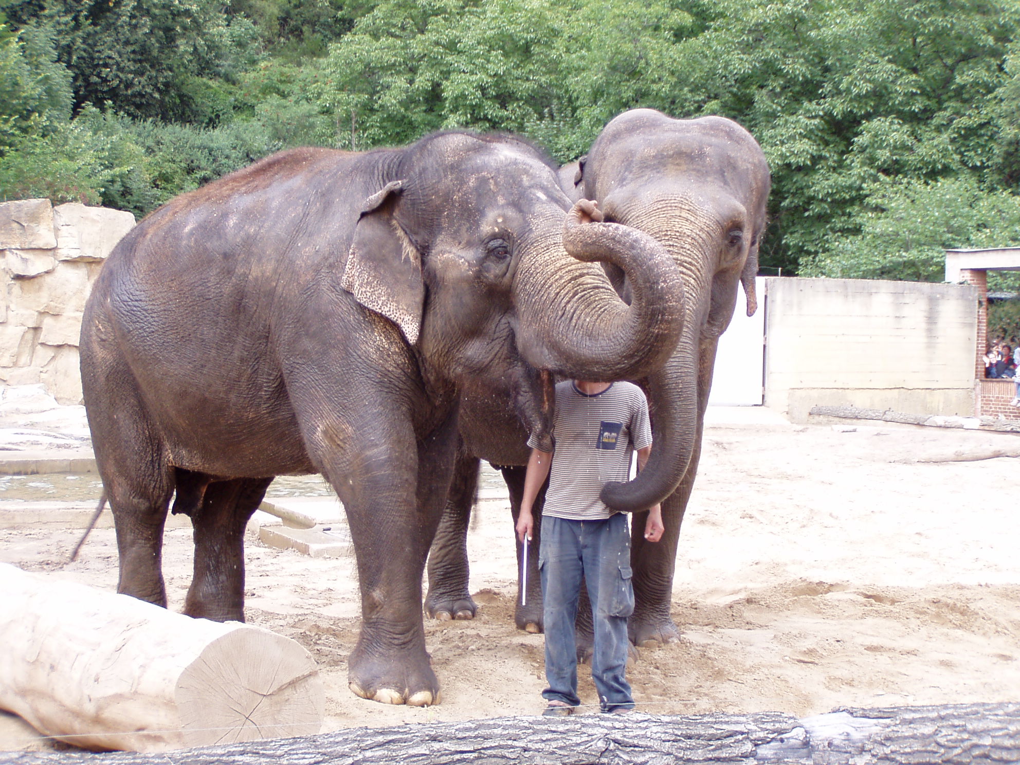 ZOO 124.jpg