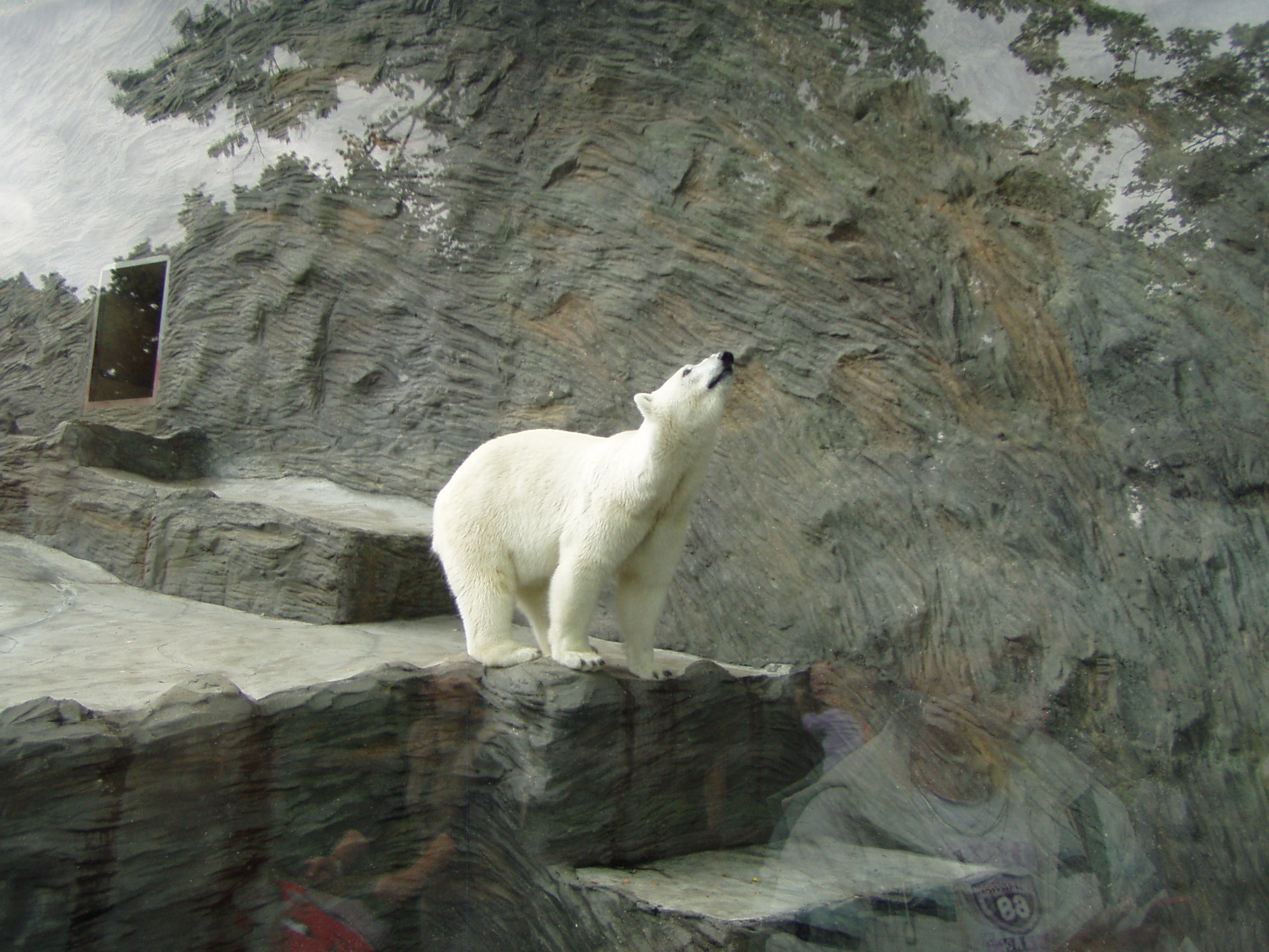 ZOO 156.jpg