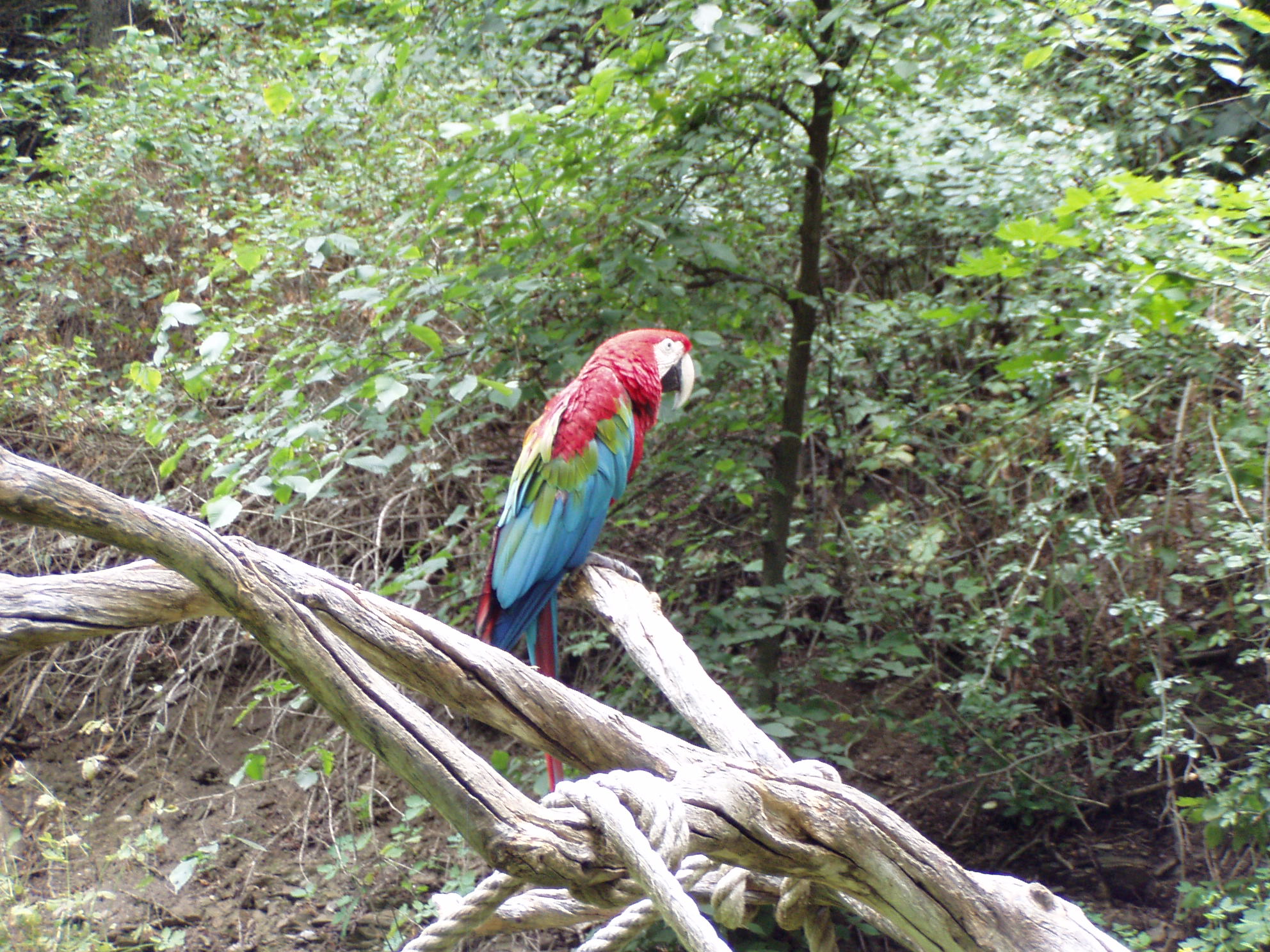 ZOO 160.jpg