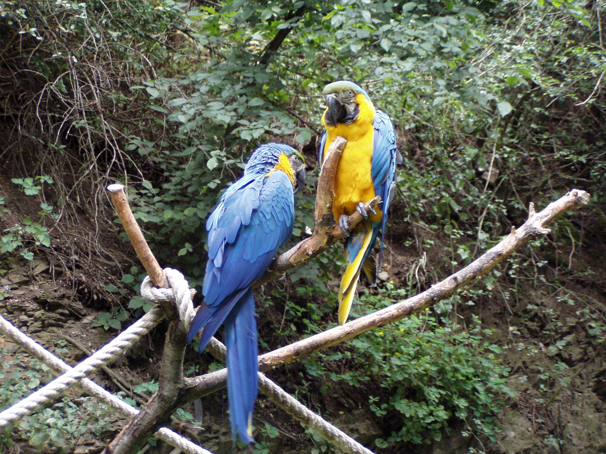 ZOO 161.jpg