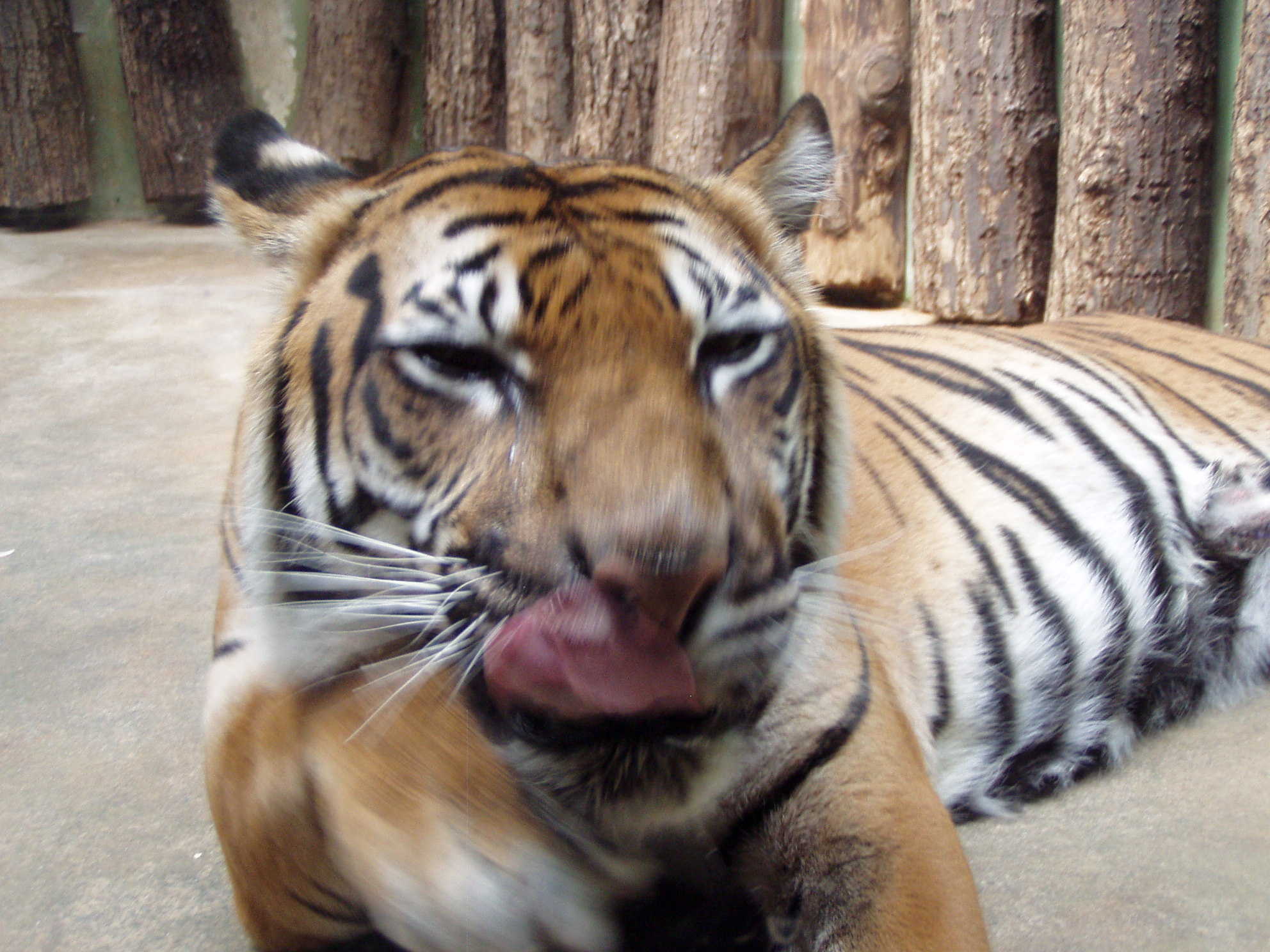ZOO 186.jpg