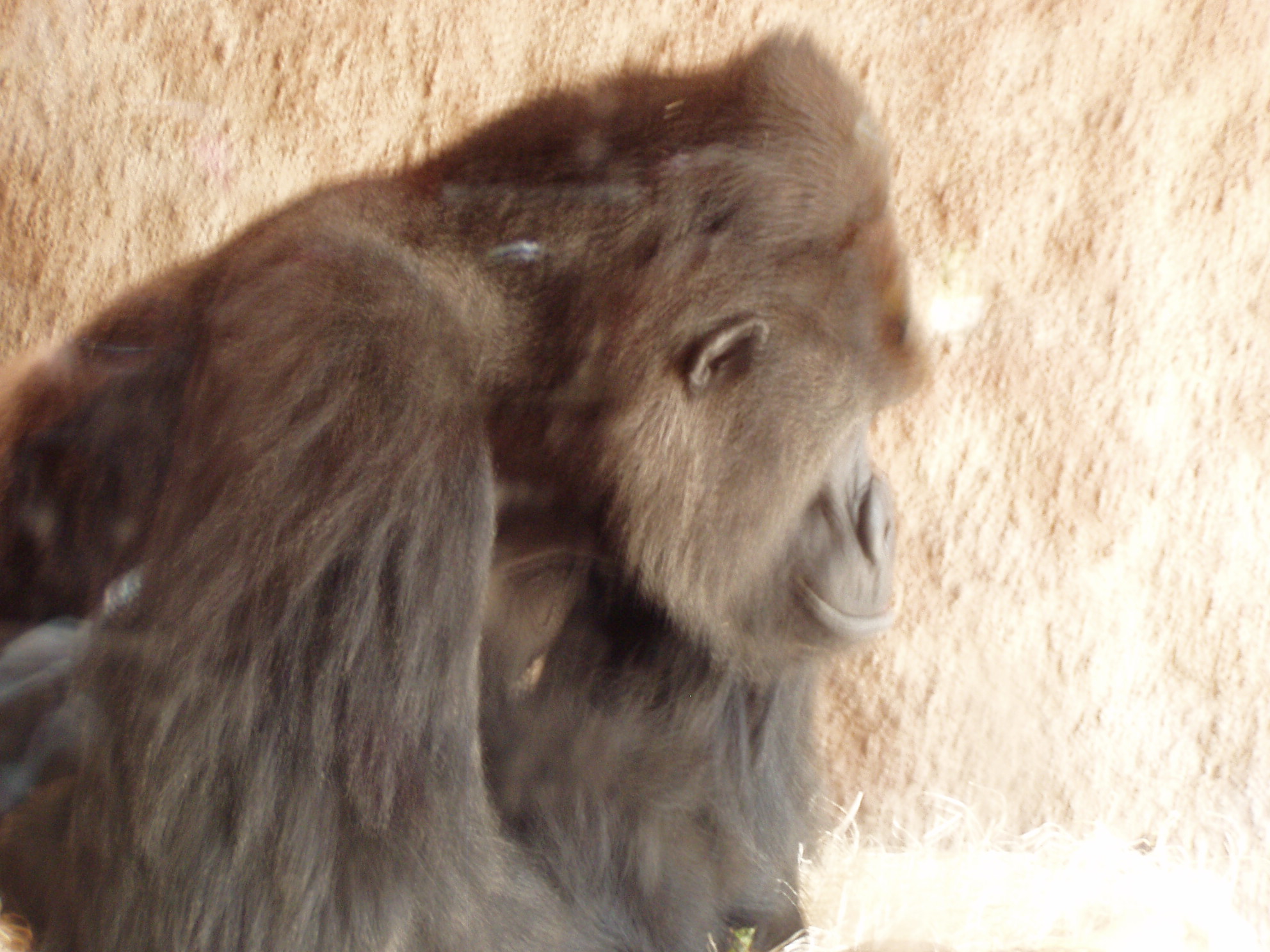 ZOO 188.jpg