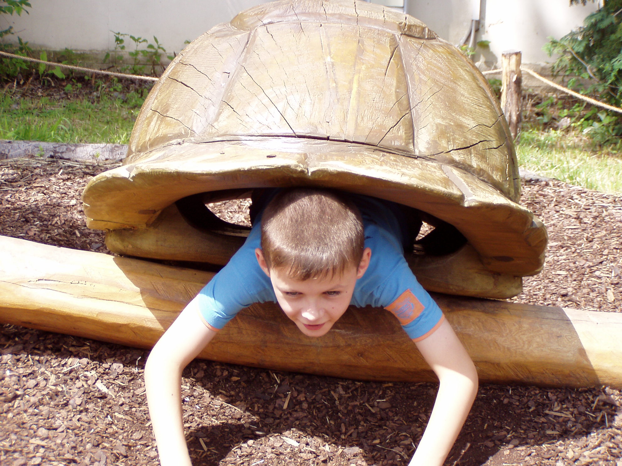ZOO 190.jpg