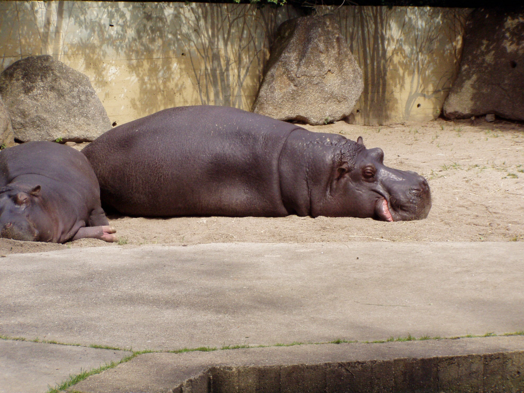 ZOO 191.jpg